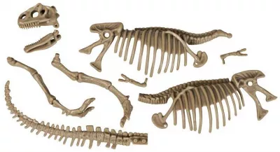 Kit excavare - Dinozaur fioros