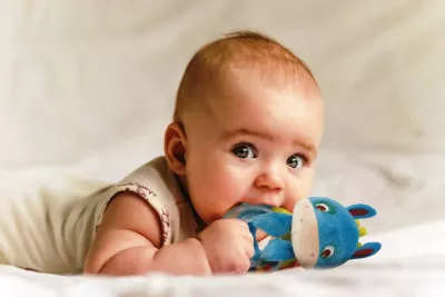 Jucarie senzoriala - Baby Donkei - Ludi