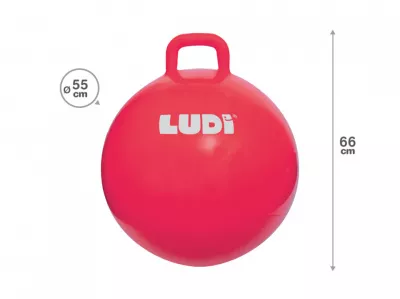 Minge saltareata - RED, 55 cm - Ludi