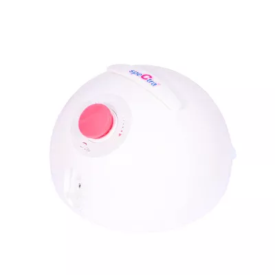 Pompa de san electrica DEW 300