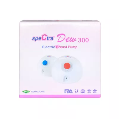 Pompa de san electrica DEW 300