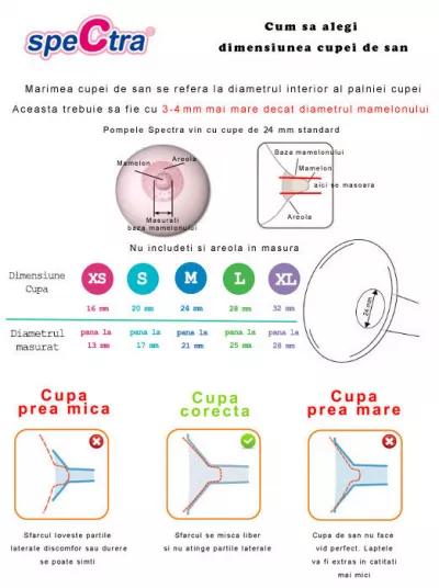 Pompa de san electrica DEW 300