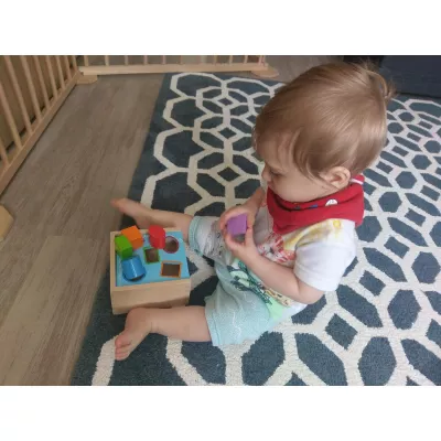 Prima mea cutie de sortat - BigJigs