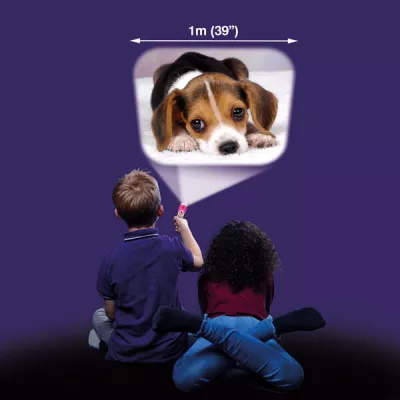 Proiector tip lanterna - Animalute dragalase