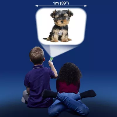 Proiector tip lanterna - Catelusi draguti