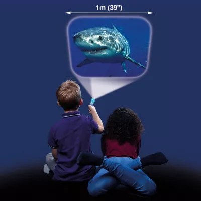 Proiector tip lanterna - Rechini periculosi