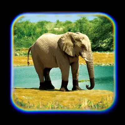Proiector tip lanterna - Animale
