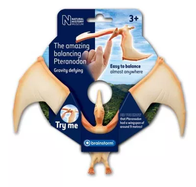 Pteranodon in echilibru