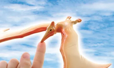 Pteranodon in echilibru