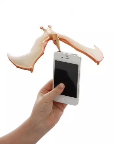 Pteranodon in echilibru