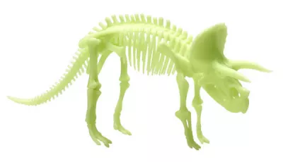 Schelet Triceratops reflectorizant