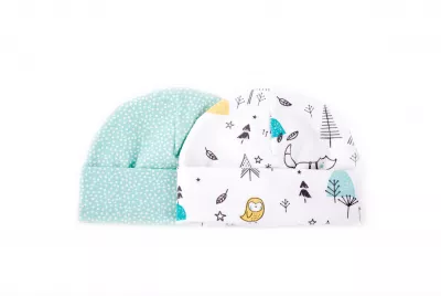 Set 2 caciulite nou-nascut Alaska/Mint Dots