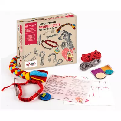 Set creativ - Accesorii pentru catelus