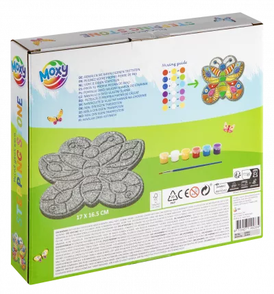 Set pictura pe piatra - Fluturas