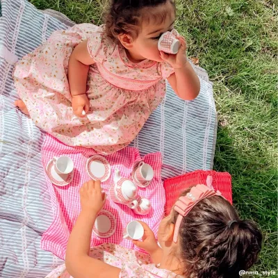 Setul meu de ceai pentru picnic - Tidlo