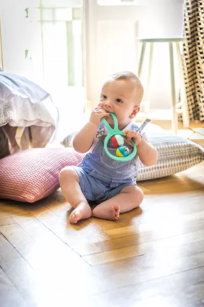 Vulli Zornaitoare Swing