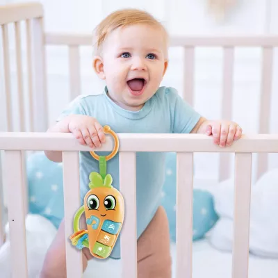 Zornaitoare - Morcov vesel