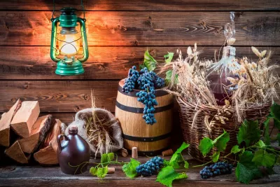 Ghidul vinificatorului – Cum să obții un vin de calitate în sezonul rece