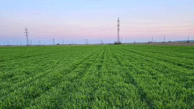 Aplicarea biostimulatorilor pe baza de aminoacizi si a fertilizantilor foliari cu azot la culturile de cereale