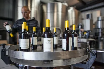 Cum se face vinul – află care sunt etapele de preparare pentru a produce această băutură ca la carte