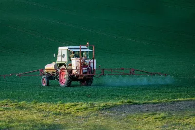 Tipuri de erbicide - Soluții utile pentru îmbunătățirea randamentului culturilor agricole
