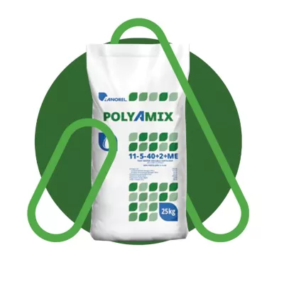 Ingrasamant hidrosolubil Polyamix 20-20-20+ TE, 25 kilograme