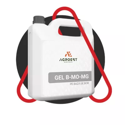 Fertilizant GEL B-Mo-Mg, 5 kilograme