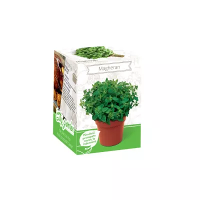 Seminte plante aromatice - Kit Plante Aromatice Magheran, hectarul.ro