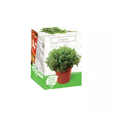 Seminte plante aromatice - Kit Plante Aromatice Oregano, hectarul.ro