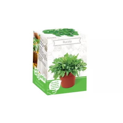 Rucola - Kit Plante Aromatice Rucola, hectarul.ro