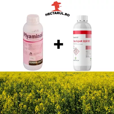 Pesticide - Pachet "Repornire in vegetatie" pentru primavara la rapita, 5 HECTARE, hectarul.ro