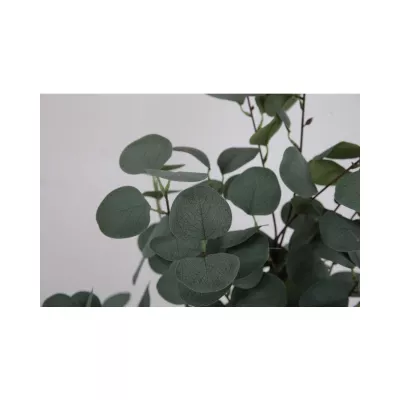 Planta artificiala 120 cm Eucalyptus