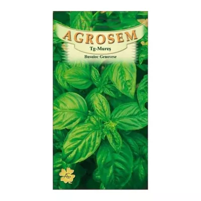 Seminte plante aromatice - Seminte aromatice Busuioc Genovese AGROSEM 8 g, hectarul.ro
