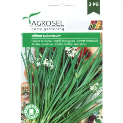 Seminte aromatice Usturoi de frunze Agrosel 1 g