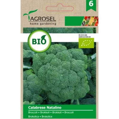 Broccoli - Seminte bio Broccoli Calabrese Natalino ECO Agrosel 2.5 g, hectarul.ro