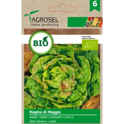 Salata Verde - Seminte bio Salata Regina di Maggio ECO Agrosel 3 g, hectarul.ro
