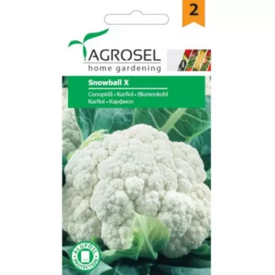 Conopida - Seminte Conopida Snowball Agrosel 1 g, hectarul.ro