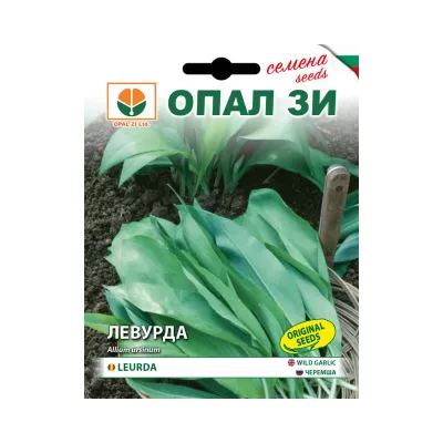 Seminte plante aromatice - Seminte de Leurda- 0,5 grame OPAL, hectarul.ro