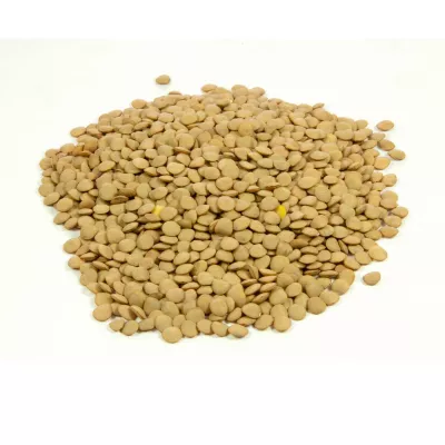 Seminte de linte, 30 gr, FLORIAN