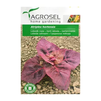 Seminte de loboda rosie, 0,5 grame, AGROSEL