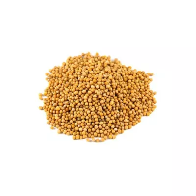 Seminte plante aromatice - Seminte de MUSTAR, 1 kg, KERTIMAG, hectarul.ro