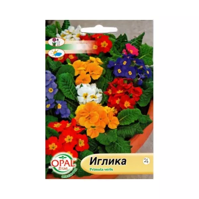 Seminte flori - Seminte de Primula, 0,5 grame OPAL, hectarul.ro