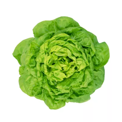 Salata Verde - Seminte de salata Hilde, 10 grame, hectarul.ro