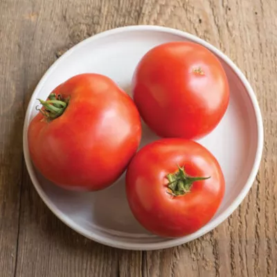 Tomate - Seminte de tomate Big Beef F1, 500 seminte, hectarul.ro