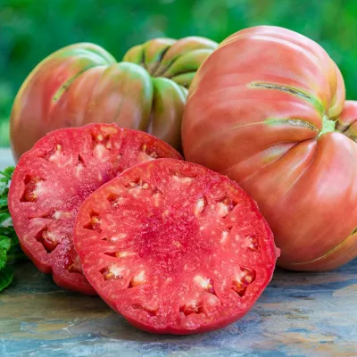 Tomate - Seminte de tomate Gigant Roz, 0.2 grame FLORIAN, hectarul.ro