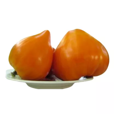 Seminte de tomate Inima de Bivol portocaliu, 0.3 grame FLORIAN