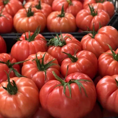 Tomate - Seminte de tomate LEROXY F1, 500 seminte, YUKSEL, hectarul.ro