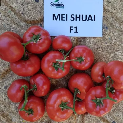 Seminte de tomate Mei Shuai F1, 100 seminte