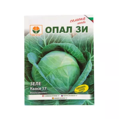 Varza - Seminte de varza Kyose 17, 5 grame OPAL, hectarul.ro