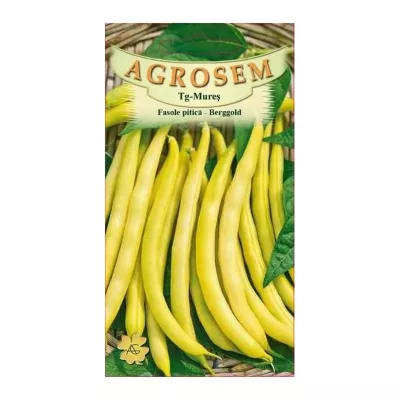 Seminte Fasole pitică  galbenă rotundă Berggold TRATAT AGROSEM 100 g